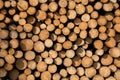 Forestry, log piles close up Royalty Free Stock Photo