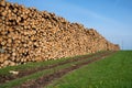 Forestry, log piles and footpath Royalty Free Stock Photo