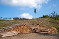 Forestry, log piles and footpath Royalty Free Stock Photo