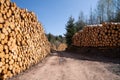 Forestry, log piles and footpath Royalty Free Stock Photo