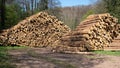 Forestry, log piles Royalty Free Stock Photo
