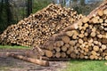 Forestry, log piles Royalty Free Stock Photo