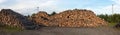 Forestry industry stacked logs raw woodpile natural resources panorama Royalty Free Stock Photo