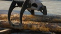 A forestry machine loads a log truck at the site landing. Forest machine down logs Royalty Free Stock Photo