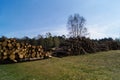 Forestry Fischbeker Heide Royalty Free Stock Photo