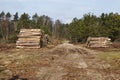 Forestry - Pile of tree boles Royalty Free Stock Photo