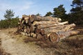 Forestry - Pile of tree boles Royalty Free Stock Photo