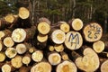 Forestry - Pile of tree boles Royalty Free Stock Photo