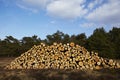 Forestry - Pile of tree boles Royalty Free Stock Photo