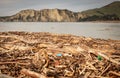 Forestry slash washed up on beach at Tolaga Bay, New Zealand after a flood Royalty Free Stock Photo