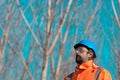 Forestry technician looking up at treetops