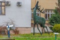 Forestry University Bronze Deer