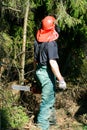 Forestry worker