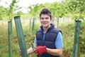 Forestry Worker Caring For Young Trees