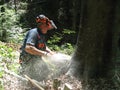 Forestry worker with a chainsaw