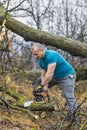 Forestry worker - lumberjack works with chainsaw. He cuts a big Royalty Free Stock Photo