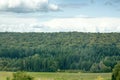 Forests of Central Europe Royalty Free Stock Photo