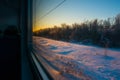 Forests and fields in the rays of dawn through the window of a speeding train Royalty Free Stock Photo