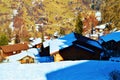 Forests and houses in Swiss Alps