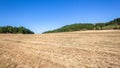Forests Farm Large Open Field Blue Sky Royalty Free Stock Photo