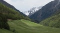 Forests and meadows in the Alps in Europe Royalty Free Stock Photo