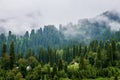 The forests and mongolia yurt in the summer valley meadows of Nalati Royalty Free Stock Photo