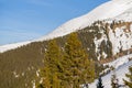 Forests of Mont Blanc Massif Between Mont Joly and Aiguille Croche in Europe, France, Rhone Alpes, Savoie, Alps, in winter on a