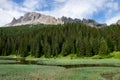 The forests on the mountains with the colorer of spring Royalty Free Stock Photo