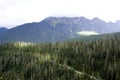 Forests on Mt. Baker Royalty Free Stock Photo