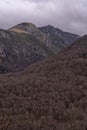 Forests of Posada de Valdeon in the Picos de Europa National Park in Spain