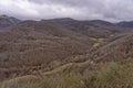 Forests of Posada de Valdeon in the Picos de Europa National Park in Spain