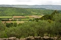 The Forests of Provence Royalty Free Stock Photo