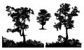 Forests tree garden silhouette set three