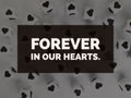 Forever in our hearts inspirational quote Royalty Free Stock Photo