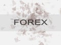 Forex trading business concept. Bussinec concept.