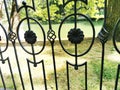Forged beautiful metal fence. Decorative element of the railing