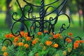 Forged black flower bed with bright marigolds Royalty Free Stock Photo