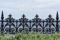 Forged black iron fence with decorative ornate pattern, green grass, blue sky background Royalty Free Stock Photo