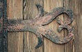 Forged decorative element on wooden door