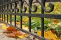 Forged fence Royalty Free Stock Photo