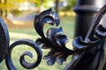 Forged fence close up. Behind the fence is a park, a lamppost, a bridge. Moscow