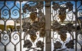Forged floral ornament, grapes leaves and bunches form, on the gate