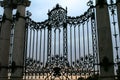 Forged gate grille in Budapest