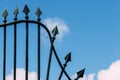 Forged iron fence with arrows on blue sky background in Lisbon, Portugal Royalty Free Stock Photo