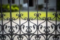 Forged iron fence Royalty Free Stock Photo