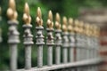 Forged iron fence on green background