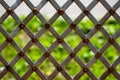 Forged mesh with green grass on background Royalty Free Stock Photo