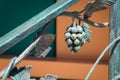 Forged metal bunch of grapes interior decoration