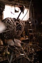 Forged metal sculpture in the workshop