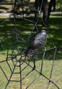 Forged metal spider on a web of wires